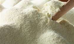 Paraguai: exportações de leite em pó quintuplicaram em 2013