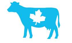Canadá 'está pronto' para oferecer aos EUA acesso limitado ao seu mercado de lácteos