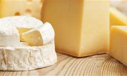 MG: Assembleia Legislativa aprova em 2° turno projeto sobre queijos artesanais
