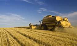 Ministra da Agricultura quer multas pesadas a quem fraudar autoinspeção nas agroindústrias
