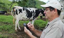 Setor leiteiro terá plataforma oficial para monitorar a qualidade de produção no Brasil