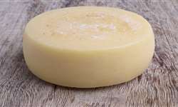 Estudo mostra benefícios do queijo na proteção dos vasos sanguíneos