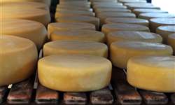 Pesquisa da UFLA cria tecnologia para beneficiar e melhorar a qualidade dos queijos