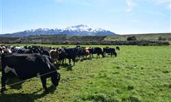 NZ e a trilogia do leite: uma visão de dentro da porteira aos profissionais brasileiros - Parte I