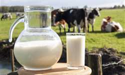 MS: audiência pública busca soluções para incentivar produção de leite