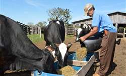 Desafios na rentabilidade dos produtores leiteiros no RS