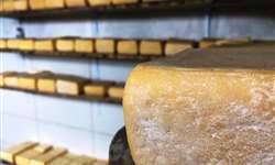 CE: produtores de queijo aguardam regras para obter Selo Arte