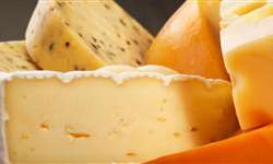 SC: produtos da Serra, inclusive queijo artesanal, poderão ser vendidos no Brasil