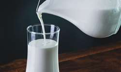 Conseleite/MS: leite entregue em maio a ser pago em junho tem queda de 4,37%