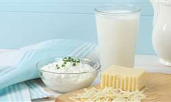 Estudo: consumo regular de lácteos pode diminuir chances de ter diabetes e pressão alta