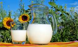 Conseleite/MS: alta de 4,63% no leite entregue em agosto
