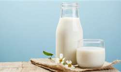Produção de leite aumenta no Rio Grande do Norte