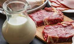 Preços da carne e do leite em SP devem subir quase 10% com mudança no ICMS, diz Fiesp