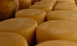 Ciência mostra como se forma o terroir do queijo minas artesanal do Serro
