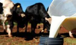 MG: produtores de leite e soja cobram reparos nas estradas rurais