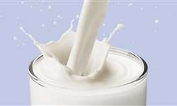Pesquisadores da UFG desenvolvem sensor que identifica presença de adulterantes em leite