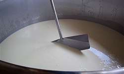CCS do tanque: bom indicador econômico para fazendas leiteiras?