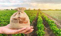 Brasil busca apoio a plano contra subsídios agrícolas
