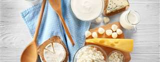 Aplicação de gordura vegetal e animal em produtos lácteos