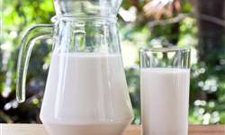 Sindilat e Sebrae iniciam aproximação estratégica para desenvolver setor lácteo gaúcho