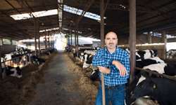 Produtor de leite: você sabe ser competitivo no mercado lácteo?