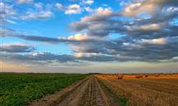 Valor da Produção Agropecuária de 2021 é estimado em R$ 1,099 trilhão