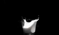 Produtores de leite reagem à nota da indústria láctea