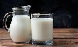A importância da lactose na dieta humana