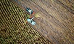 Valor Bruto da Produção Agropecuária supera R$ 1,1 trilhão