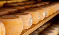 Conheça alguns dos queijos brasileiros premiados na França