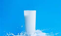 Teste do álcool e do alizarol no leite