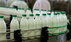 Biofilme na indústria de lácteos