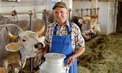 Nasce uma nova estirpe de produtor de leite no Brasil