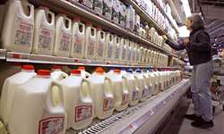 Consolidação do setor lácteo gera excesso de leite nos EUA