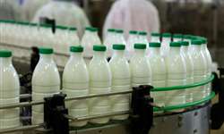 Até 500 milhões de litros de leite devem deixar de ser vendidos em 2021