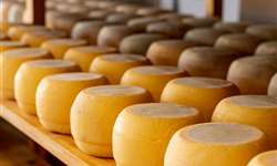 Teor de gordura: queijo Minas Frescal, Meia Cura e Minas Padrão