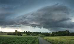 PR: tempestade deixa áreas rurais sem energia e prejudica produção