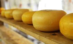 Ucrânia: cenário da indústria de queijo antes da guerra e agora