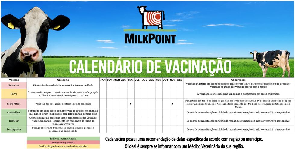calendario vacinaçao