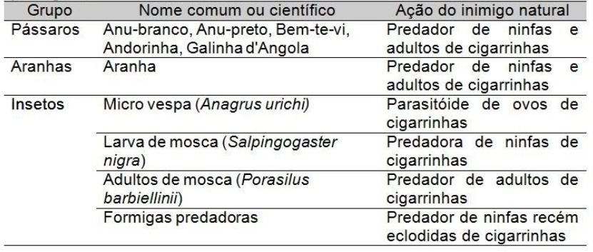 Tabela 4. Principais agentes de controle biológico natural de cigarrinhas das pastagens.