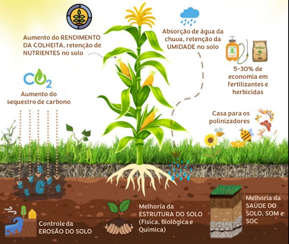 agricultura regenerativa