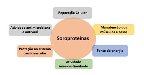 Bioatividades das soroproteínas do leite