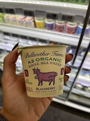 iogurte organico de leite a2