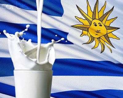 produtor de leite - preço dos lácteos - Uruguai 