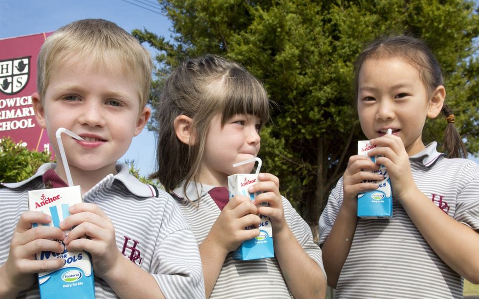 leite nas escolas - Fonterra - Nova Zelândia 