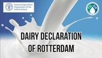 Declaração de lácteos - Roterdã - Holanda 
