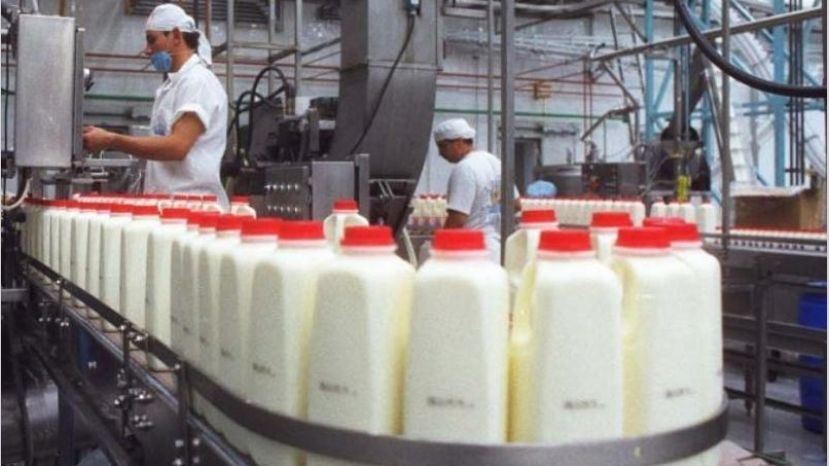 produção de leite argentina 