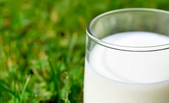 Produção de leite no Brasil deve ser de 37 bilhões de litros em 2014