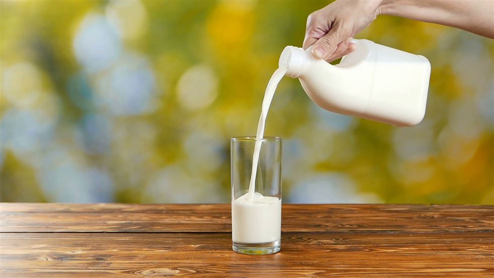 produção de leite no estado de são paulo 