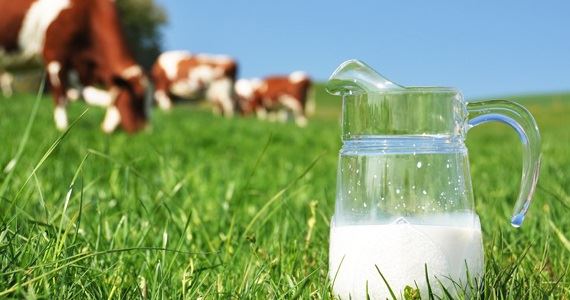 Estimativa aponta que o setor leiteiro do Uruguai crescerá 4% em 2014